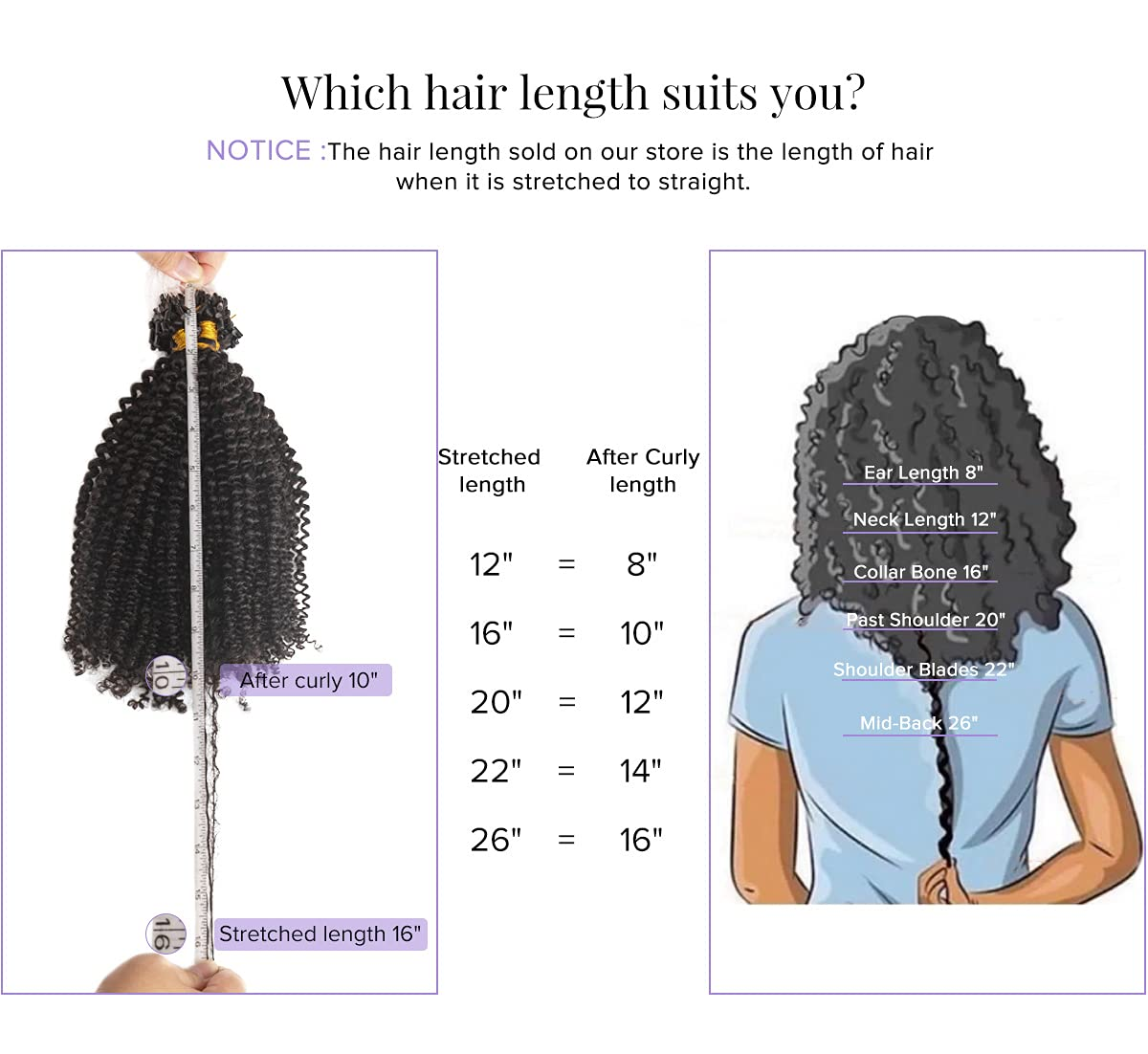 Bulk Human Hair for Braiding Afro Kinky Curl Human Hair Braid Extensions